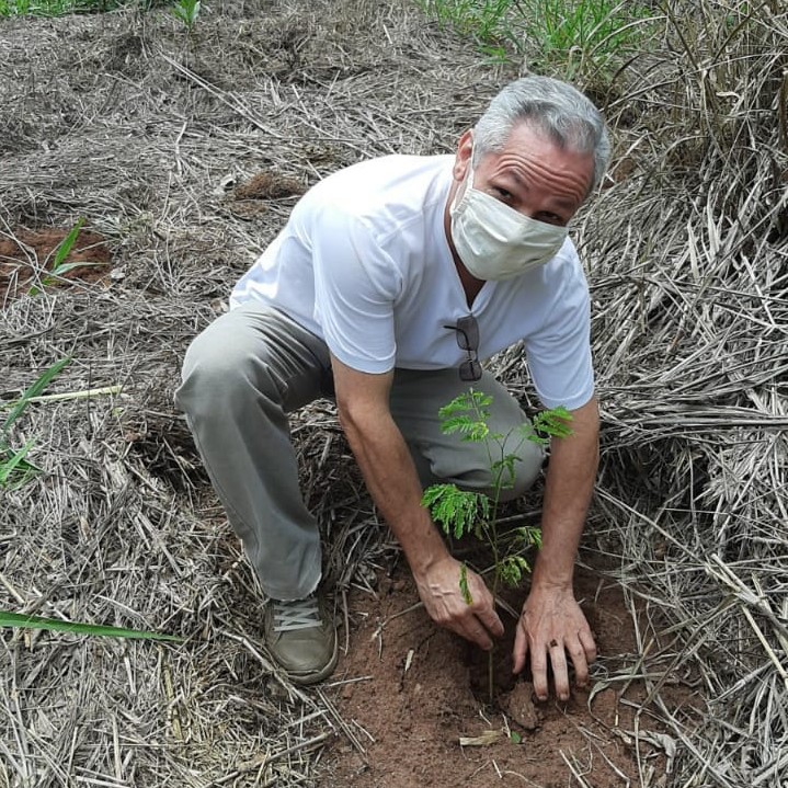 Voluntário plantando uma muda durante ação de reflorestamento